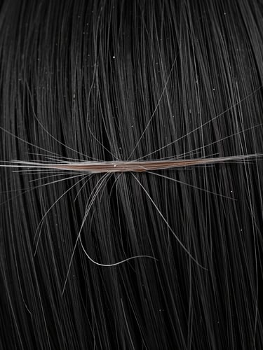 Macro photography of a damaged hair fiber before treatment, showing lifted cuticles and depleted lipid barrier, contrasted with a healthy, smooth hair fiber after TMT Cosmetics treatment, under high-contrast clinical lighting.