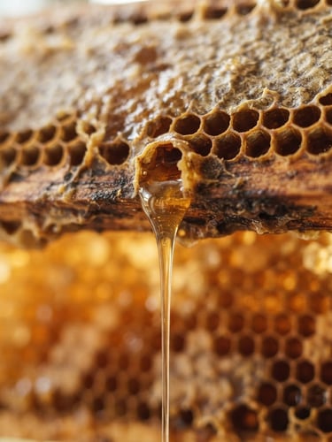 Macro close-up of golden honey dripping from a wooden comb, soft morning window light, rich amber tones, shallow depth of field