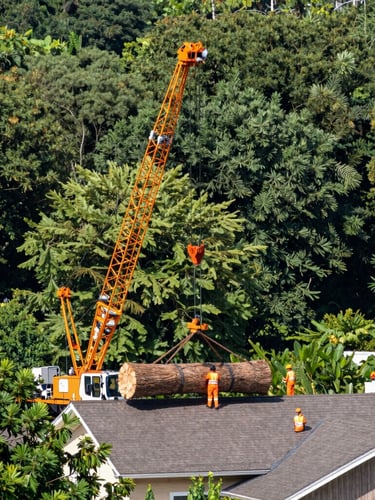 Wide-angle outdoor shot of a massive crane lifting a large pine trunk over a residential roof, bright daylight, crew in safety orange gear, precise rigging setup.