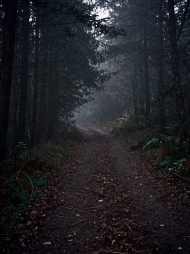 Desaturated wide shot of a misty dark forest trail at dusk, grainy cinematic texture, low-key lighting, 35mm film