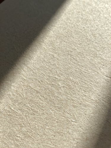 Tightly cropped macro photograph of deeply embossed heavy cotton cardstock, natural side-lighting casting long shadows across the tactile paper fibers.