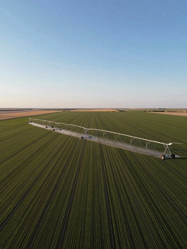Panoramic wide-angle aerial drone shot of massive center-pivot irrigation systems watering perfectly straight crop boundaries in Lethbridge County under crisp morning light, expansive sky, low horizon.