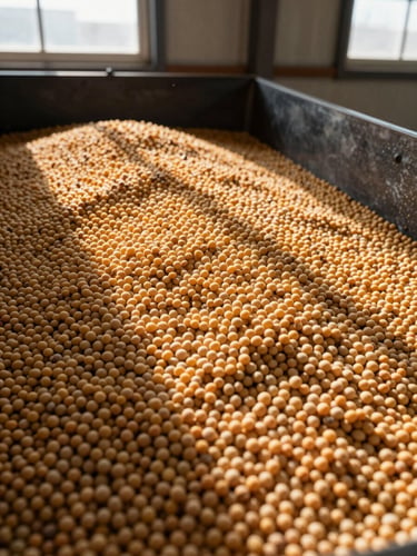 Close-up overhead of bulk soybeans filling an industrial hopper, warm amber grain texture against dark steel, natural daylight from a high warehouse window raking across the surface, showing volume and texture detail relevant to buyers, no people
