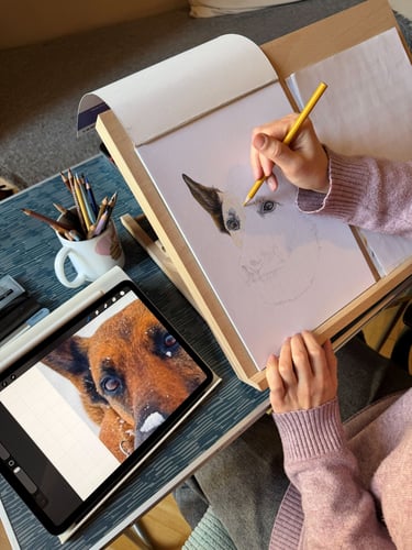 Artist drawing realistic colored pencil dog portrait based on a reference photo