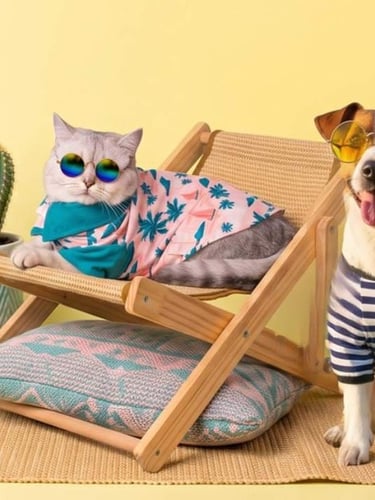 Un lindo gato y un perro con gafas de sol y ropa de verano descansan junto a un cactus en una silla.