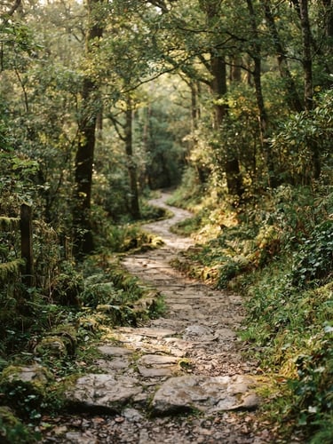 A sun-dappled stone path winding through a quiet, lush forest, soft morning light filtering through trees, serene and private atmosphere, 35mm photography
