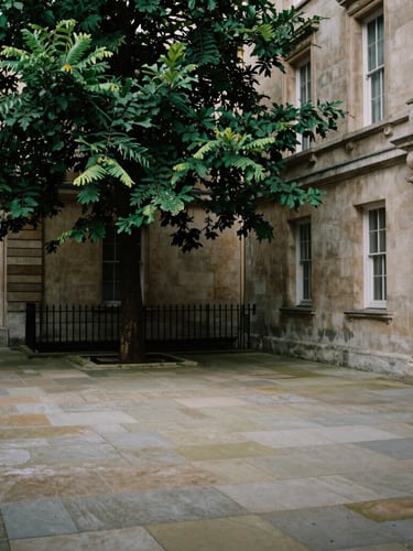 Wide architectural shot of a quiet stone courtyard in London, deep shadows, soft indirect natural light, subdued green foliage, 35mm.