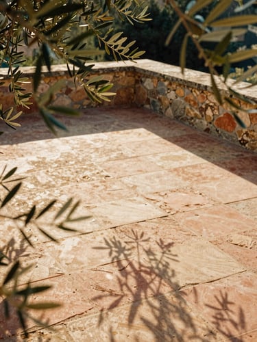 A quiet sun-dappled stone terrace with olive branches casting soft shadows on a terracotta floor, warm golden hour light, 35mm film aesthetic.