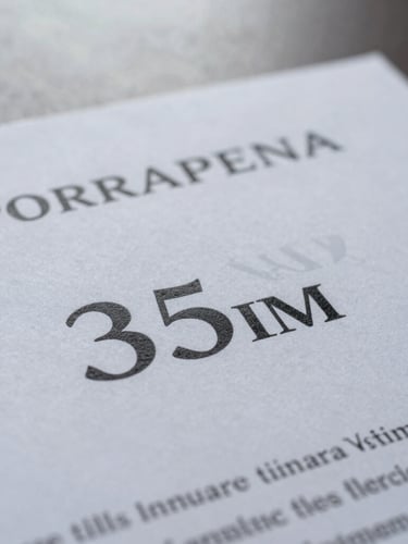 Macro shot of a stamped corporate certificate on a desk, overcast natural light, muted professional tones