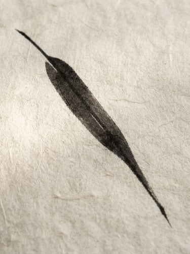 Minimalist fine art photography of a single black ink brush stroke depicting a bamboo leaf, soft natural side-light on textured warm off-white handmade paper, framed in simple light wood