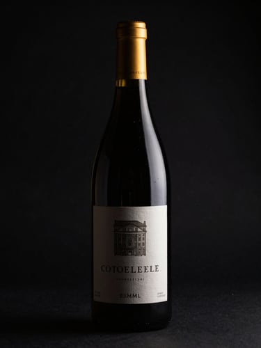 Dramatic low-key product photography of a single premium wine bottle cast in deep shadow, sharp gold rim lighting, rich black background, 85mm lens