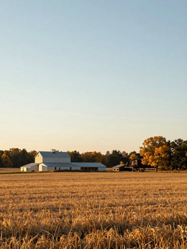 Wide environmental shot of a Wisconsin farmstead in early autumn, fields stretching to treeline, golden morning light, no people, quiet and grounded