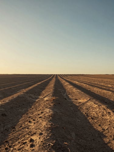 Low-angle wide shot of raw desert topography at golden hour, long shadows stretching across dry earth, sharp horizon line, cinematic editorial photography style.