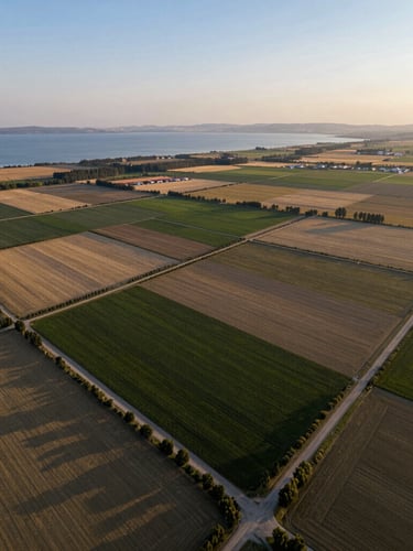 Sweeping drone photograph of premium zoned land plots in Van, clear golden hour lighting, clean boundaries outlined naturally by the landscape, overlooking Lake Van in the distance.