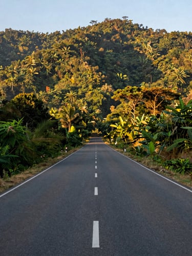Wide-angle low-angle perspective shot of a modern paved road leading toward the foothills of Jim Corbett, morning sun, rich forest greens