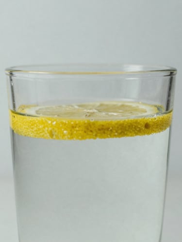 Macro shot of a clean glass of water with a single lemon slice floating, soft overcast daylight, muted natural tones, 35mm composition