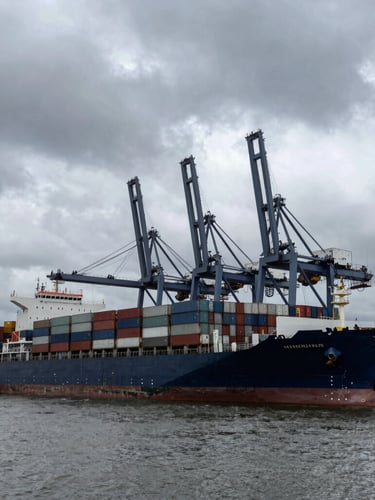 Wide-angle industrial harbor shot with a massive container ship docked, heavy crane silhouettes against dramatic overcast daylight, steel gray tones.