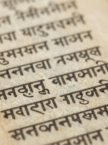 Macro shot of ancient Sanskrit manuscript on aged birch bark, detailed devanagari script, soft natural archival library light, muted parchment tones, shallow depth of field