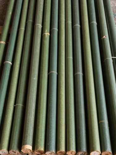 Macro documentary photograph of perfectly straight, uniform bundles of kiln-dried eucalyptus wood handles stacked in a dry warehouse, crisp natural workshop light, deep forest green tones, 50mm
