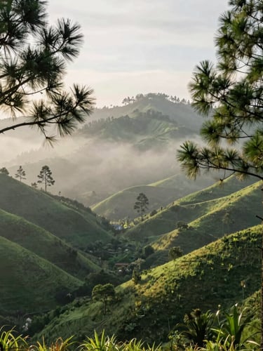 Mist rising over the lush green valleys of Malang highlands, soft morning light filtering through ancient pine trees, serene and quiet atmosphere.