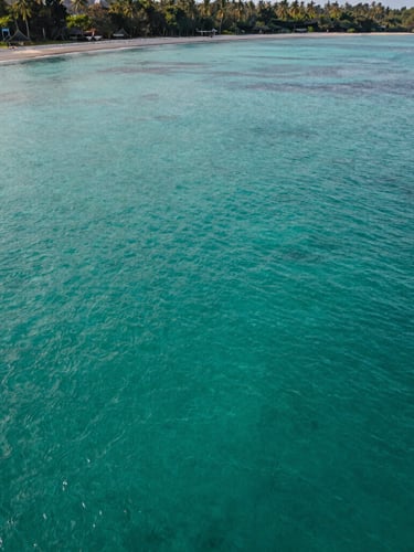 Aerial view of pristine turquoise ocean water in Lombok, soft morning light, deep green tropical coastline visible on the far edge, minimalist and serene composition.