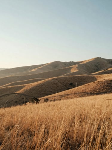 Soft diffused morning light over the Boise foothills, dry golden grasses, wide negative space on the left, serene atmospheric composition