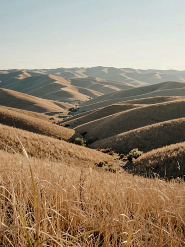 Soft morning light over the Boise foothills, dry grasses and distant soft-focus ridges under a pale sky, wide environmental framing.