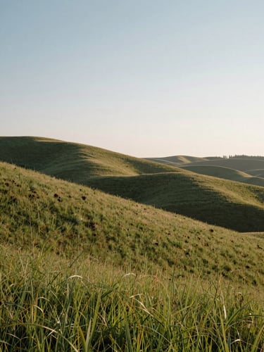 A quiet morning in the Boise foothills, soft morning light illuminating gentle grassy slopes, clean minimalist composition with generous negative space.