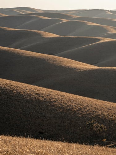 Soft morning light over the Boise foothills, gentle rolling hills with dry grass, quiet atmospheric landscape, minimalist composition.