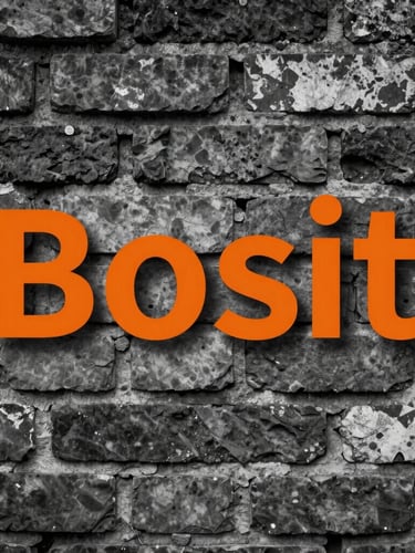A full-bleed close-up of a textured black-and-white wild posting on a gritty brick wall, safety orange typography slicing through the center.
