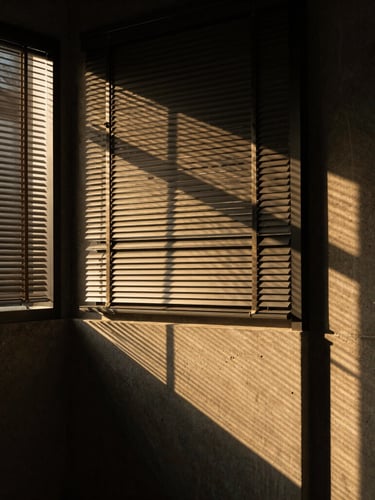 Architectural detail of a modern law office in Botoșani, warm sunlight cutting through dark venetian blinds, creating golden lines on a concrete wall, deep shadows