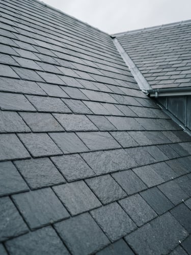 Close-up of perfectly aligned slate tiles on a modern roof, sharp focus, overcast daylight, slate grey tones, architectural photography