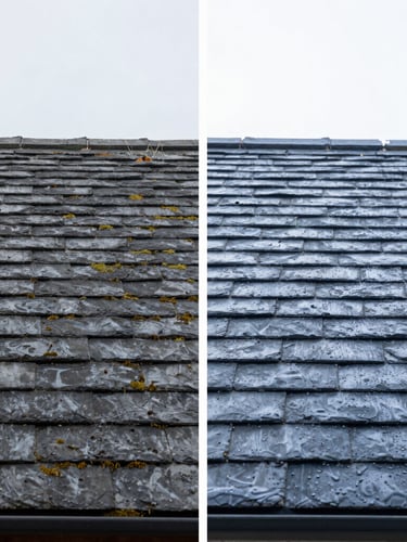 Split-screen architectural before and after photo of a slate roof, left side weathered with green moss, right side clean and water-beading, overcast bright day