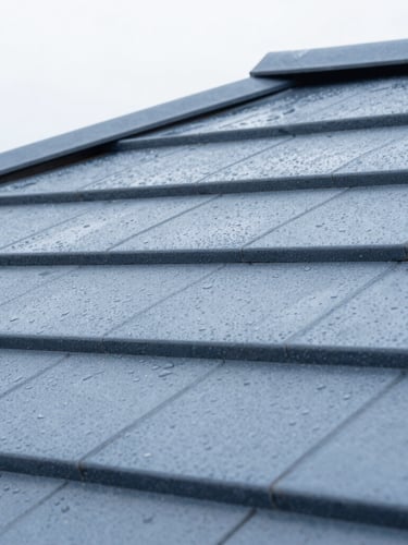 Close-up of clean slate roof tiles with water droplets perfectly beading on the surface, bright overcast daylight, sharp focus, 35mm lens