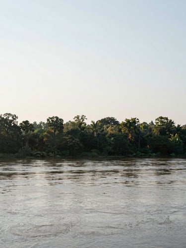 Wide environmental landscape of the Savannah River in Augusta at quiet daylight, soft overcast morning sun, clean composition with generous breathing room, 35mm editorial photography.