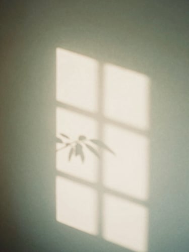 Soft diffused window light casting gentle shadows of leaves on a warm off-white wall, calming sage green tones, minimal and serene atmosphere, 35mm photography