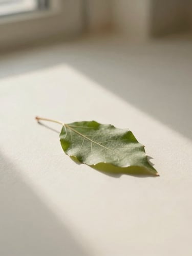 Warm editorial photography, soft diffused window light casting gentle shadows on a single delicate green leaf resting on a warm off-white paper texture, shallow depth of field, 35mm