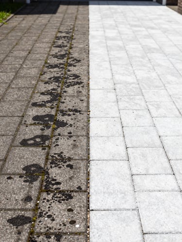 Wide split-view of a residential driveway in the Netherlands, left half showing grey concrete pavers heavily stained with black algae and green moss, right half showing the same pavers freshly cleaned to bright near-white under midday sun, sharp dividing line down the centre, ground-level angle, no people or furniture
