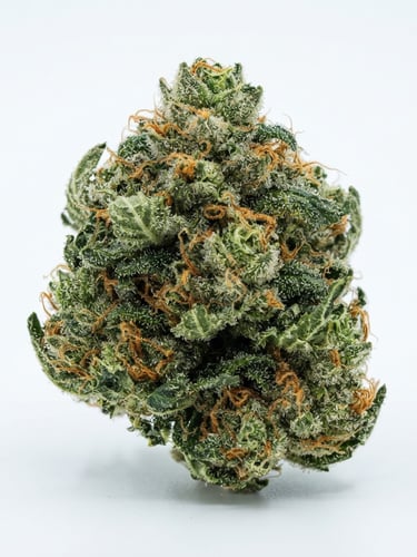 Crisp macro detail of a dense hemp bud on a sterile white backdrop, bright cool laboratory daylight, 50mm lens