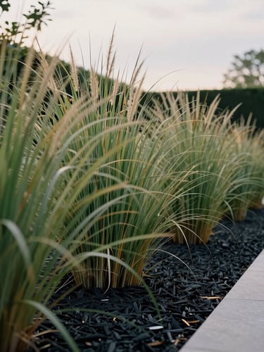 A low-angle shot of manicured estate landscaping. Architectural softscape layout showing rich contrasts between tall ornamental grasses and dark, spade-cut mulch lines under overcast morning light.