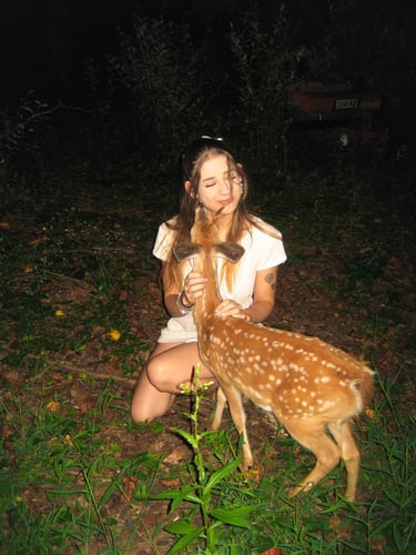 northern virginia cinematic wedding and portrait photographer