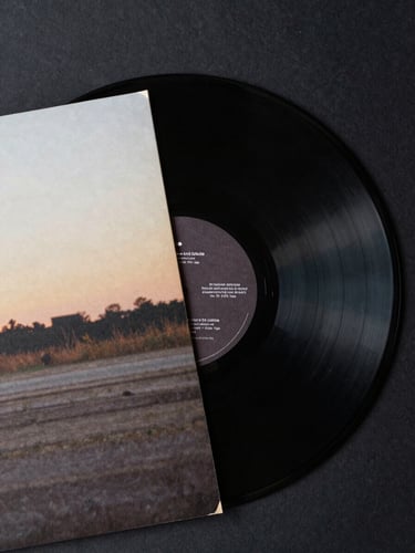Overhead flat-lay of a vinyl record and its printed inner sleeve, high contrast against a dark surface, detail of pressing grooves visible in raking light