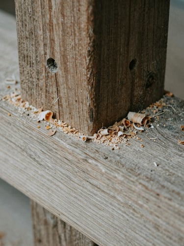 Moody close-up of a hand-chiseled mortise and tenon joint in weathered oak, wood shavings and sawdust scattered on the grain, natural overcast light