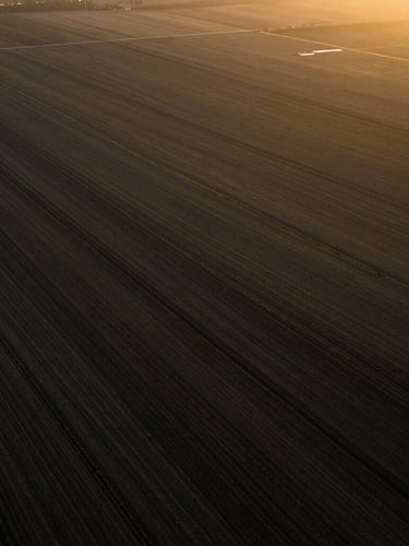 High-altitude view of vast organized agricultural fields, dramatic golden hour light, high contrast, cinematic editorial photography.
