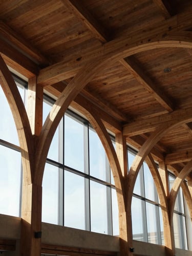 Soaring interior of a civic atrium featuring exposed glulam timber arches, morning sun filtering through high windows, architectural geometry.