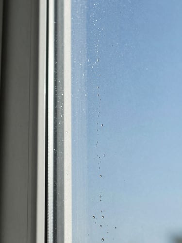 Macro shot of pure water sheeting off a clean window pane, bright morning sunlight catching the edge of the glass, high contrast detail, 35mm lens