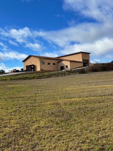 bodega margon