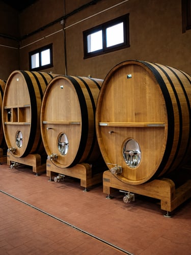 bodega margon barricas