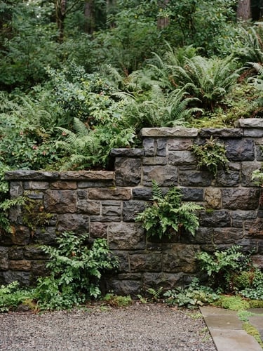 Straight-on architectural elevation of a hand-dressed basalt retaining wall integrated with lush ferns and native Vancouver plantings, soft overcast daylight