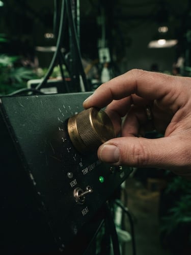 Tight macro shot of hands adjusting a heavy-gauge brass dial on a matte black growing control panel, soft green ambient lighting, moody shadows, 50mm